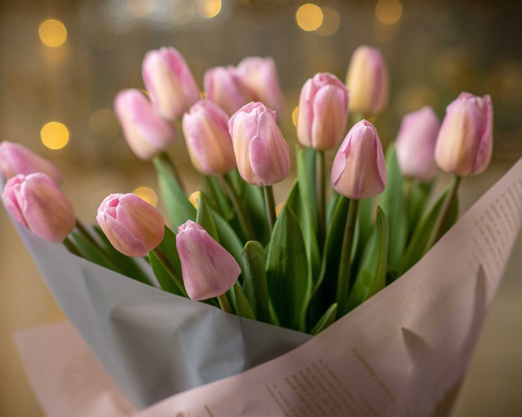 Vente de tulipe 🌷